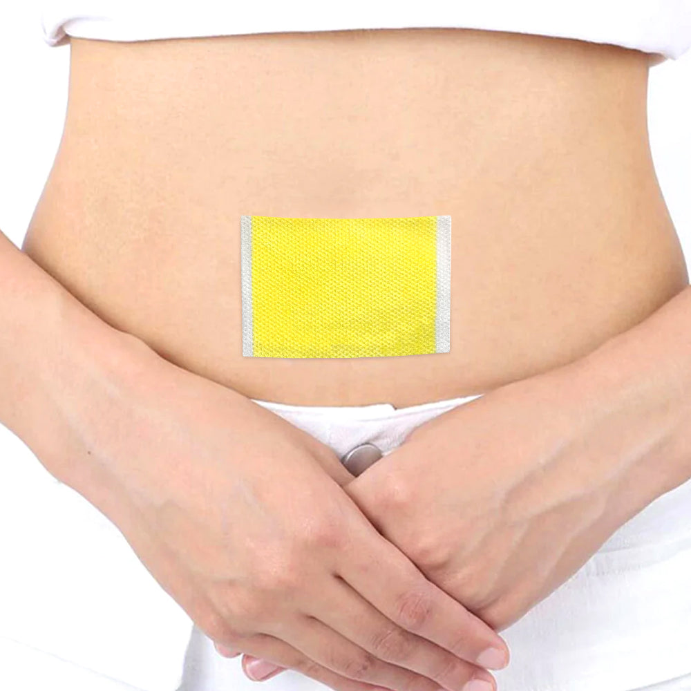 Eilisra Japanese Garcinia Slimming Waist Patch