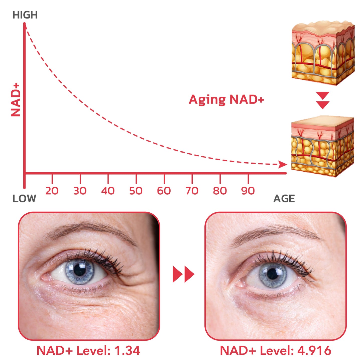 StayEve™ NMN Age Reverse Serum