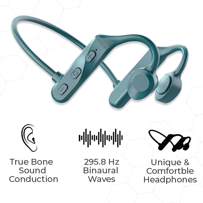 RexSonic Bone Conduction Resonance Earphones