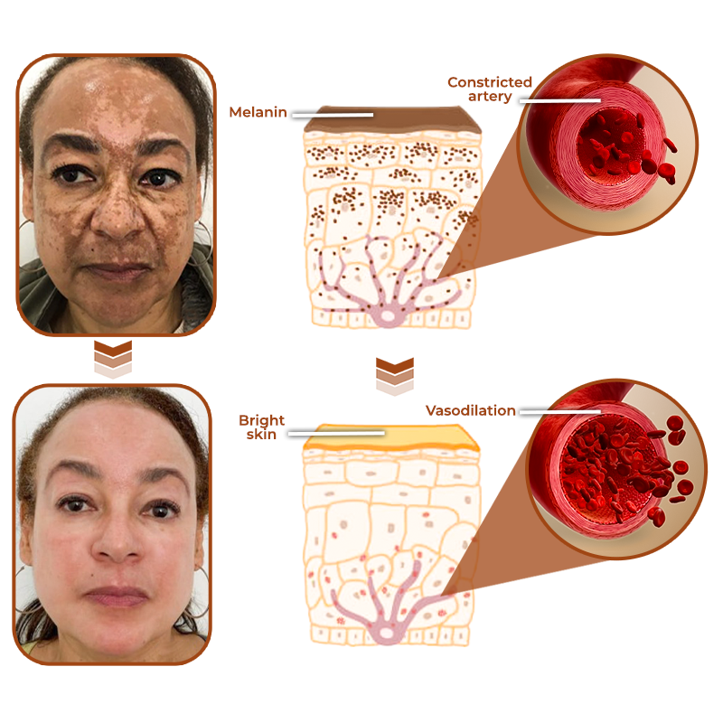 flysmus™ GinsengEx Cellular Rejuvenation Essence
