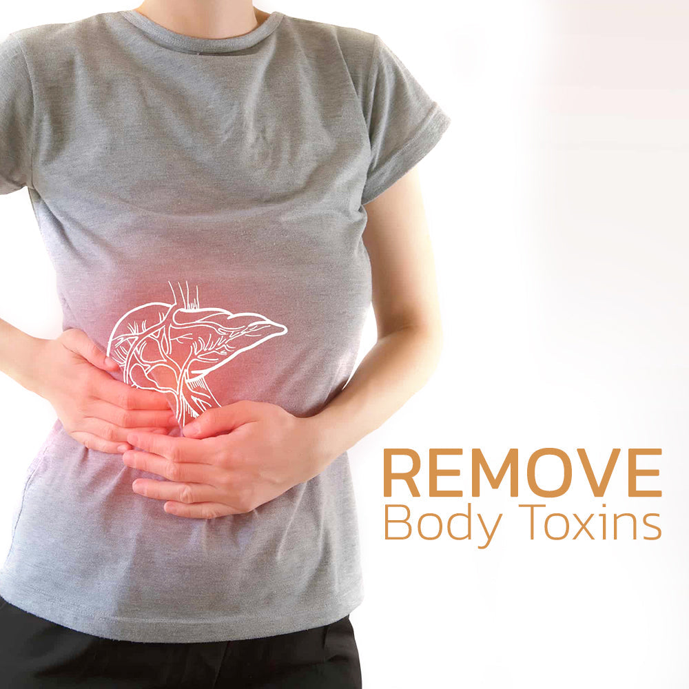 HerbsHealth Ginger Body Detoxing Pads